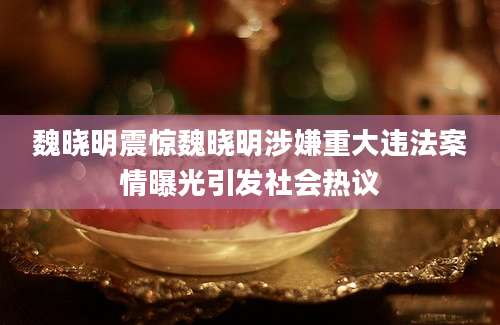 魏晓明震惊魏晓明涉嫌重大违法案情曝光引发社会热议