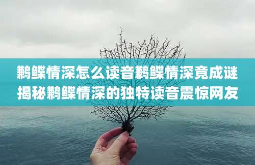 鹣鲽情深怎么读音鹣鲽情深竟成谜揭秘鹣鲽情深的独特读音震惊网友