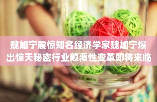 魏加宁震惊知名经济学家魏加宁爆出惊天秘密行业颠覆性变革即将来临