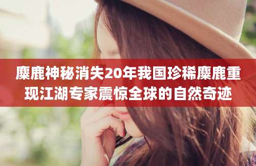麋鹿神秘消失20年我国珍稀麋鹿重现江湖专家震惊全球的自然奇迹