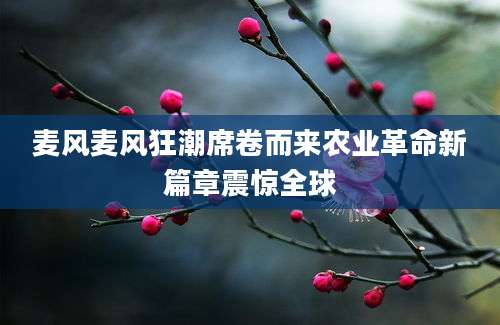 麦风麦风狂潮席卷而来农业革命新篇章震惊全球