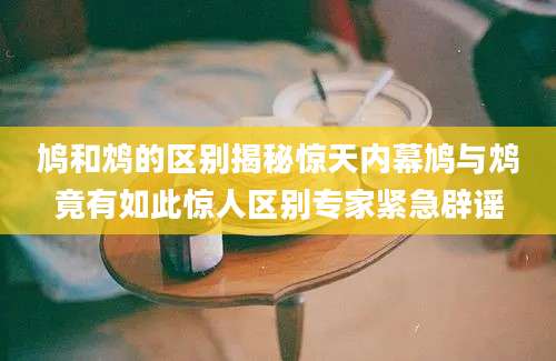 鸠和鸩的区别揭秘惊天内幕鸠与鸩竟有如此惊人区别专家紧急辟谣