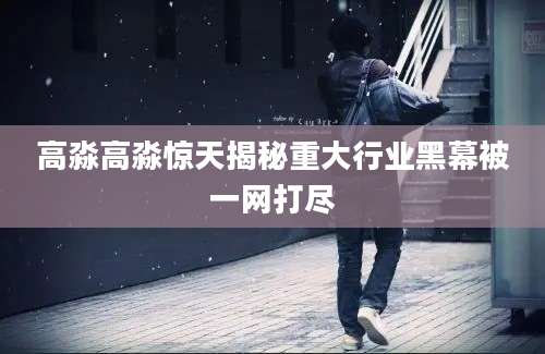 高淼高淼惊天揭秘重大行业黑幕被一网打尽