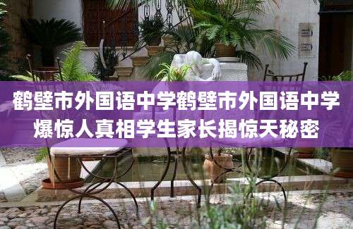 鹤壁市外国语中学鹤壁市外国语中学爆惊人真相学生家长揭惊天秘密