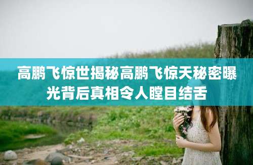 高鹏飞惊世揭秘高鹏飞惊天秘密曝光背后真相令人瞠目结舌