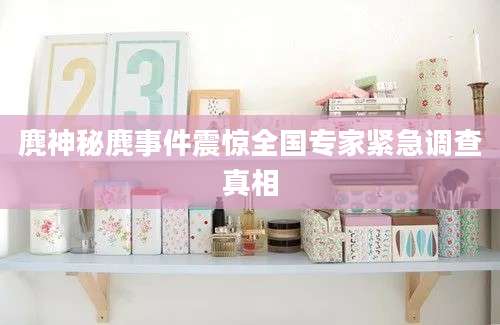 麂神秘麂事件震惊全国专家紧急调查真相