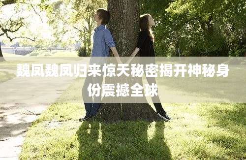 魏凤魏凤归来惊天秘密揭开神秘身份震撼全球