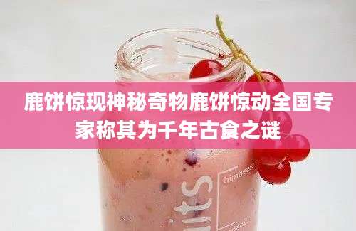 鹿饼惊现神秘奇物鹿饼惊动全国专家称其为千年古食之谜