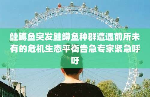 鲑鳟鱼突发鲑鳟鱼种群遭遇前所未有的危机生态平衡告急专家紧急呼吁