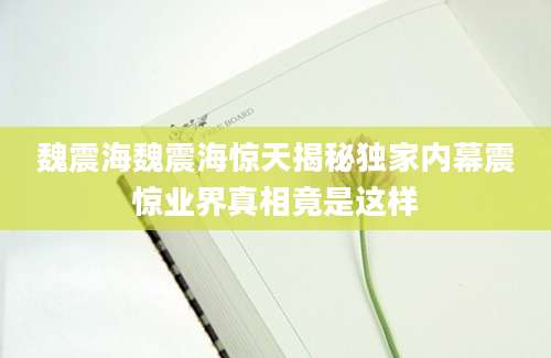 魏震海魏震海惊天揭秘独家内幕震惊业界真相竟是这样