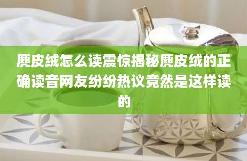 麂皮绒怎么读震惊揭秘麂皮绒的正确读音网友纷纷热议竟然是这样读的