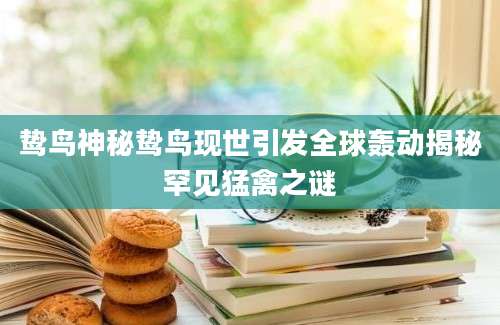 鸷鸟神秘鸷鸟现世引发全球轰动揭秘罕见猛禽之谜