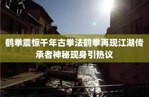 鹤拳震惊千年古拳法鹤拳再现江湖传承者神秘现身引热议