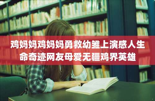 鸡妈妈鸡妈妈勇救幼雏上演感人生命奇迹网友母爱无疆鸡界英雄
