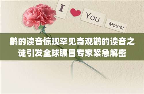 鹳的读音惊现罕见奇观鹳的读音之谜引发全球瞩目专家紧急解密