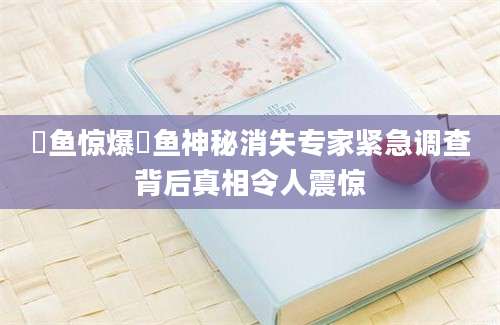 鲙鱼惊爆鲙鱼神秘消失专家紧急调查背后真相令人震惊