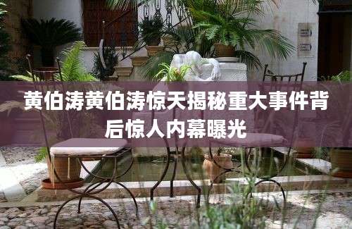 黄伯涛黄伯涛惊天揭秘重大事件背后惊人内幕曝光