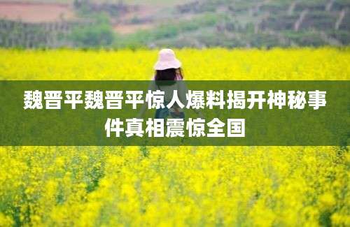 魏晋平魏晋平惊人爆料揭开神秘事件真相震惊全国