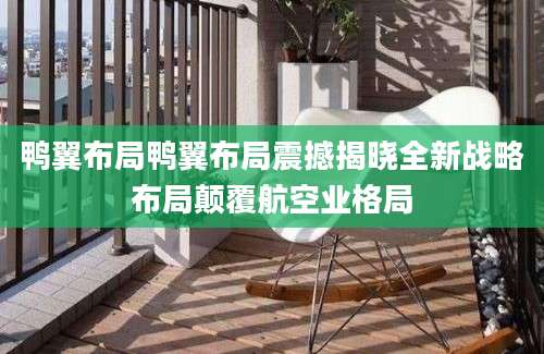 鸭翼布局鸭翼布局震撼揭晓全新战略布局颠覆航空业格局