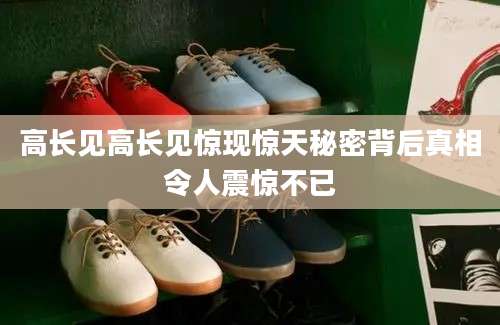 高长见高长见惊现惊天秘密背后真相令人震惊不已