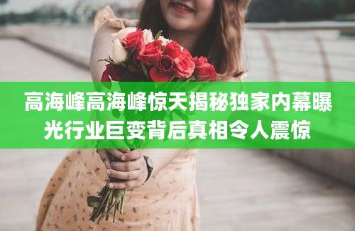 高海峰高海峰惊天揭秘独家内幕曝光行业巨变背后真相令人震惊