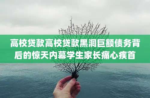 高校贷款高校贷款黑洞巨额债务背后的惊天内幕学生家长痛心疾首