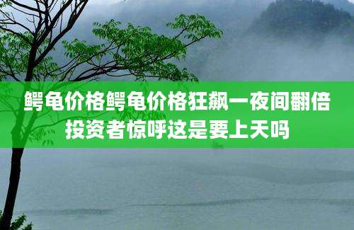 鳄龟价格鳄龟价格狂飙一夜间翻倍投资者惊呼这是要上天吗