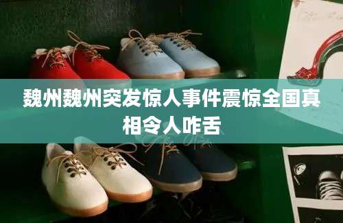 魏州魏州突发惊人事件震惊全国真相令人咋舌