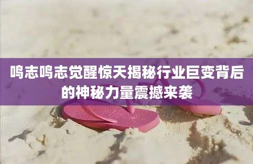 鸣志鸣志觉醒惊天揭秘行业巨变背后的神秘力量震撼来袭