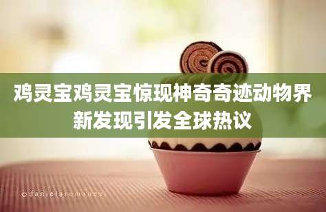 鸡灵宝鸡灵宝惊现神奇奇迹动物界新发现引发全球热议