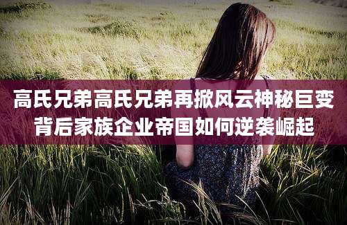 高氏兄弟高氏兄弟再掀风云神秘巨变背后家族企业帝国如何逆袭崛起