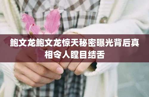 鲍文龙鲍文龙惊天秘密曝光背后真相令人瞠目结舌