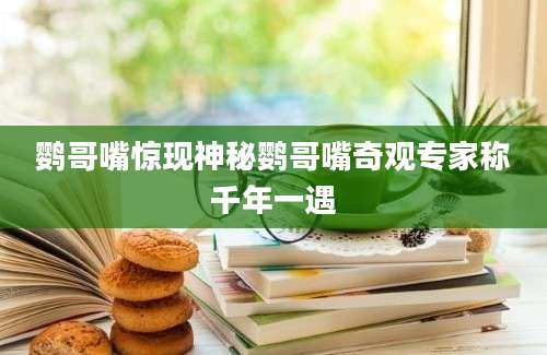 鹦哥嘴惊现神秘鹦哥嘴奇观专家称千年一遇