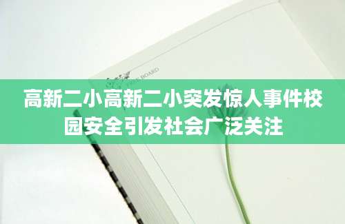 高新二小高新二小突发惊人事件校园安全引发社会广泛关注