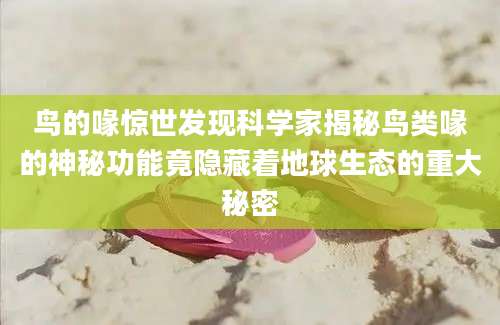 鸟的喙惊世发现科学家揭秘鸟类喙的神秘功能竟隐藏着地球生态的重大秘密
