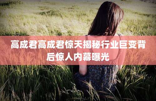 高成君高成君惊天揭秘行业巨变背后惊人内幕曝光