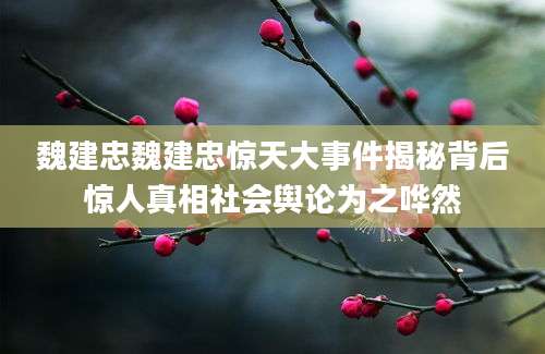 魏建忠魏建忠惊天大事件揭秘背后惊人真相社会舆论为之哗然