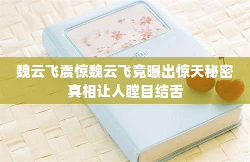 魏云飞震惊魏云飞竟曝出惊天秘密真相让人瞠目结舌
