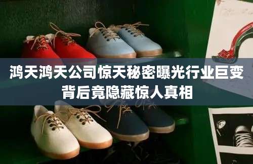 鸿天鸿天公司惊天秘密曝光行业巨变背后竟隐藏惊人真相