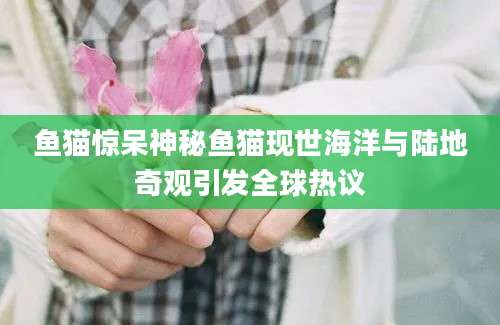鱼猫惊呆神秘鱼猫现世海洋与陆地奇观引发全球热议