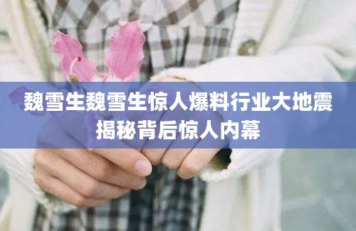 魏雪生魏雪生惊人爆料行业大地震揭秘背后惊人内幕