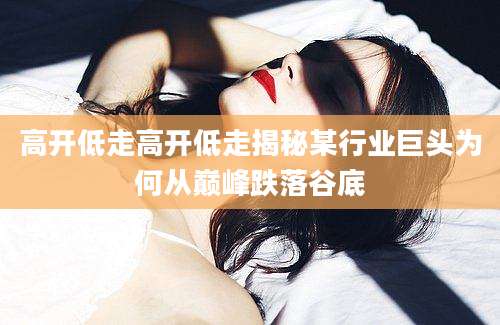 高开低走高开低走揭秘某行业巨头为何从巅峰跌落谷底
