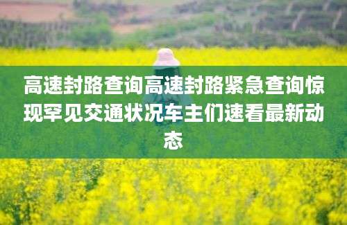 高速封路查询高速封路紧急查询惊现罕见交通状况车主们速看最新动态