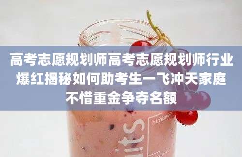 高考志愿规划师高考志愿规划师行业爆红揭秘如何助考生一飞冲天家庭不惜重金争夺名额