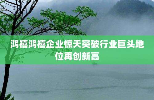 鸿禧鸿禧企业惊天突破行业巨头地位再创新高