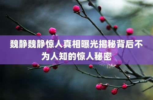 魏静魏静惊人真相曝光揭秘背后不为人知的惊人秘密