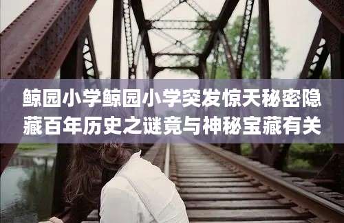 鲸园小学鲸园小学突发惊天秘密隐藏百年历史之谜竟与神秘宝藏有关