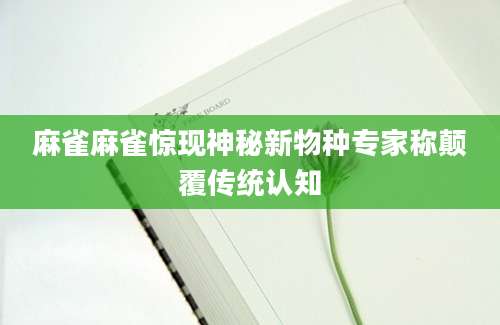 麻雀麻雀惊现神秘新物种专家称颠覆传统认知