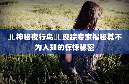 鹖鴠神秘夜行鸟鹖鴠现踪专家揭秘其不为人知的惊悚秘密