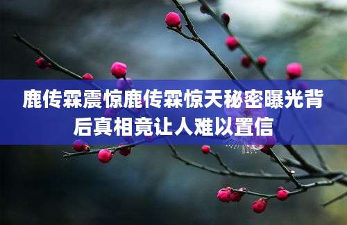 鹿传霖震惊鹿传霖惊天秘密曝光背后真相竟让人难以置信